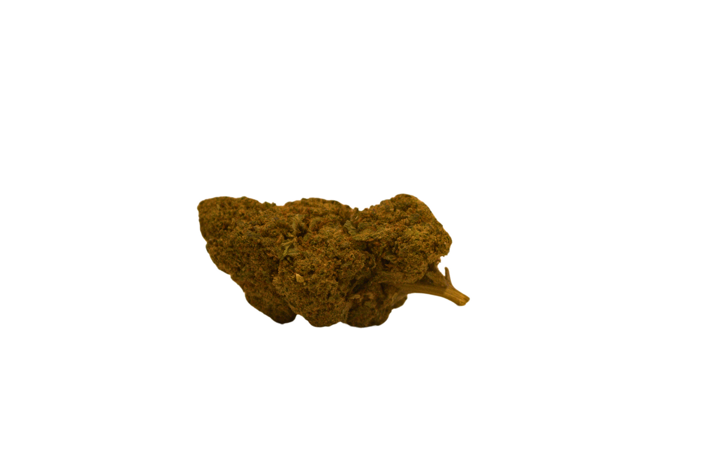 Skunk