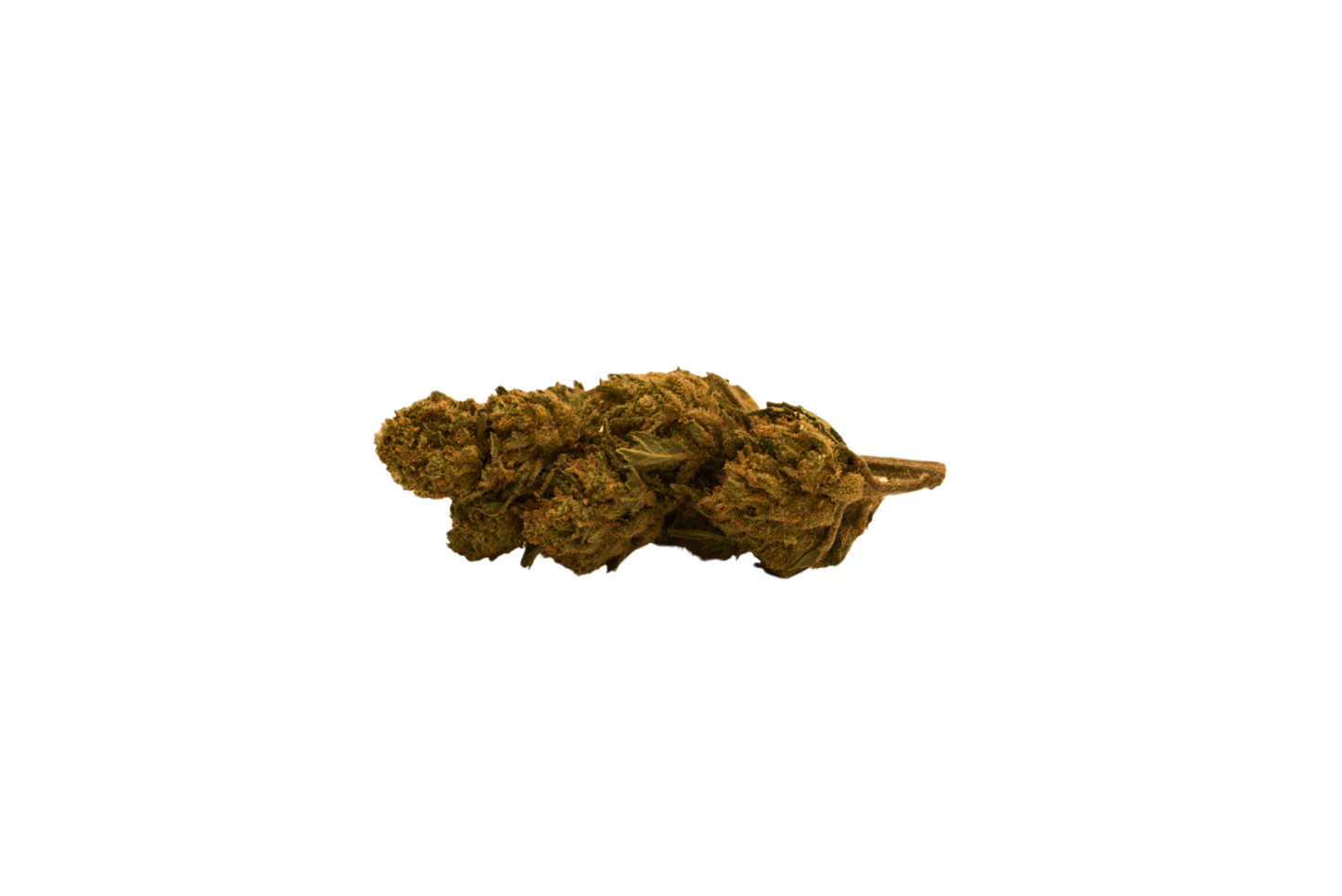 White Widow