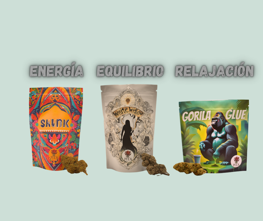 Cómo elegir tu primera flor de CBD (y no fallar en el intento)