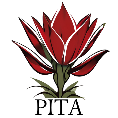 Pita